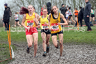 Senior girls 2019 New Balance English Schools Cross Country Champs, Temple Newsam, Leeds. Photo:  David T. Hewitson/Sports for All Pics